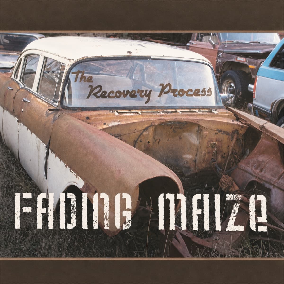 The Recovery Process artwork